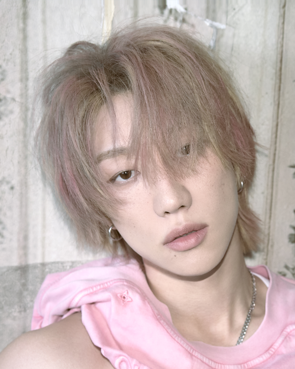THE 8 official SEVENTEEN profile photograph