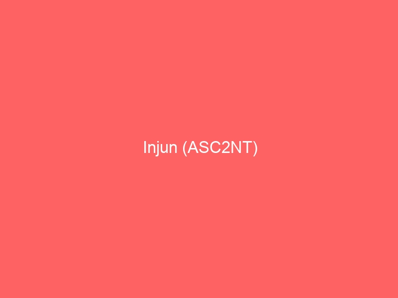 Injun former member of ASC2NT