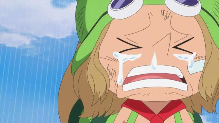 Official One Piece Episode 694 story scene from Zoro, Pica, Princess Mansherry, Leo, Luffy, Bartolomeo, Cavendish, Rebecca, Kyros, Scarlett, and the Dressrosa coalition