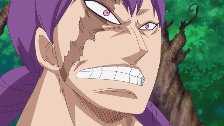 Official One Piece Episode 801 story scene from Luffy, Nami, Pound, Lola, Brûlée, Randolph, Kingbaum, Cracker, Sanji, Reiju, Judge, Ichiji, Niji, Yonji, Cosette, Zeff, Big Mom, Chopper, Carrot, Brook, Pedro, and the Homies